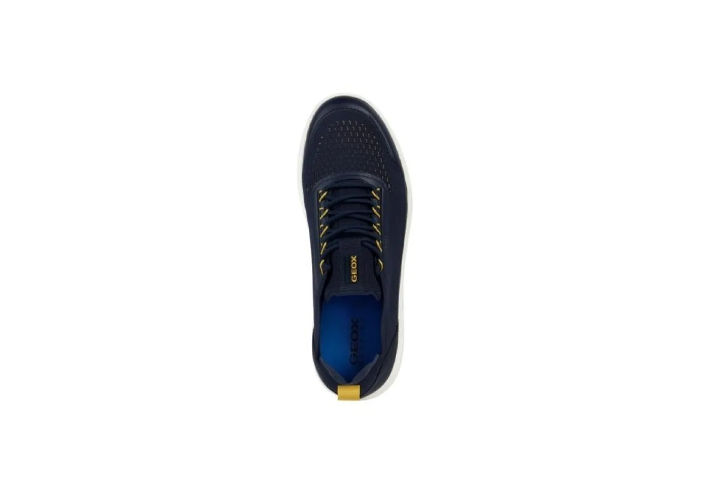 Geox Sneakers Basse* U35Bya Navy