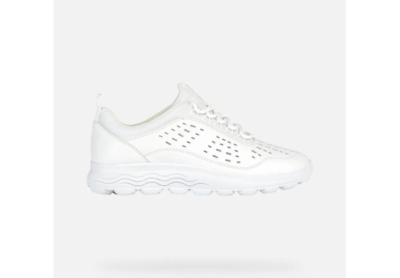 Geox Sneakers Basse*Scarpa