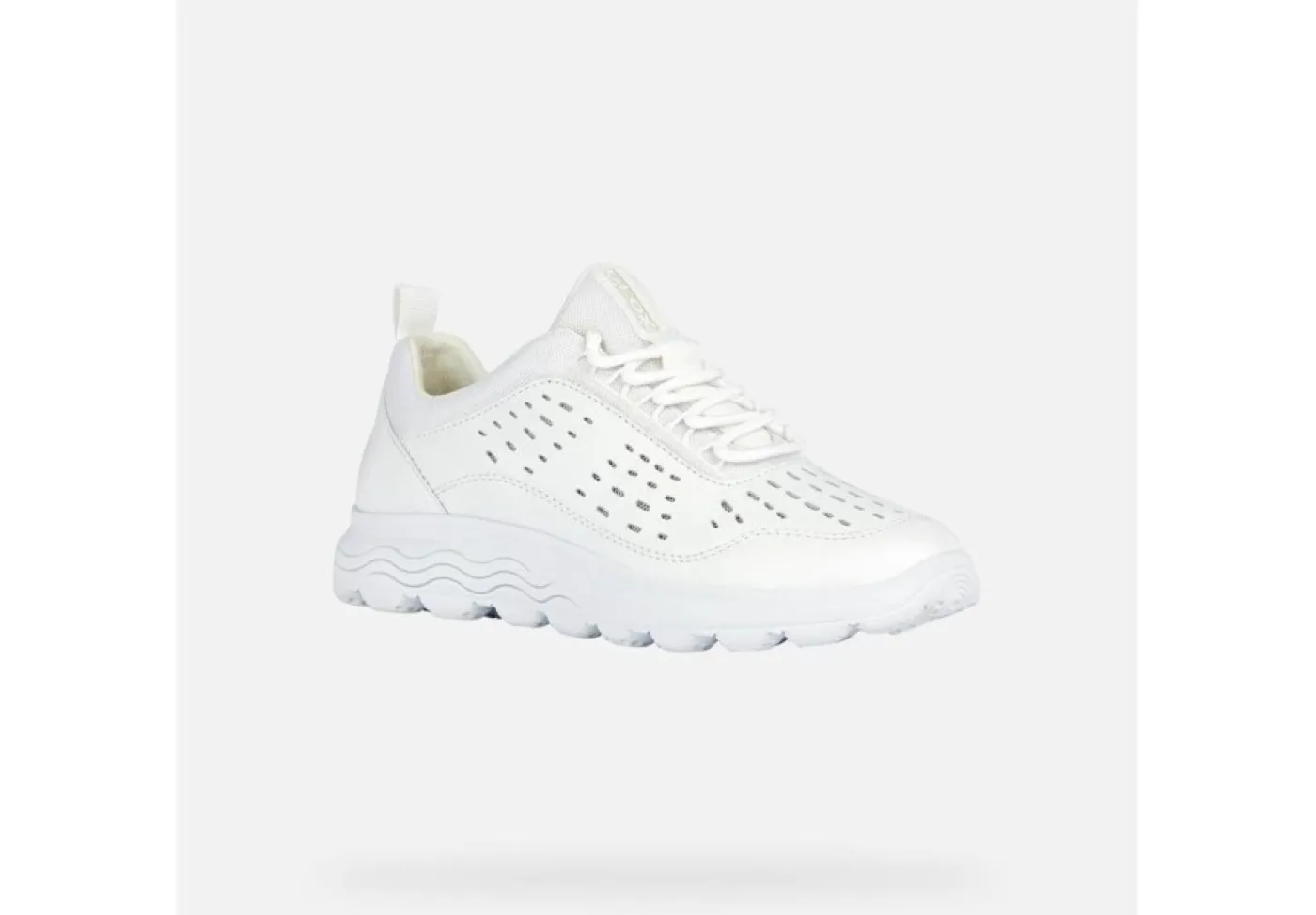 Geox Sneakers Basse*Scarpa