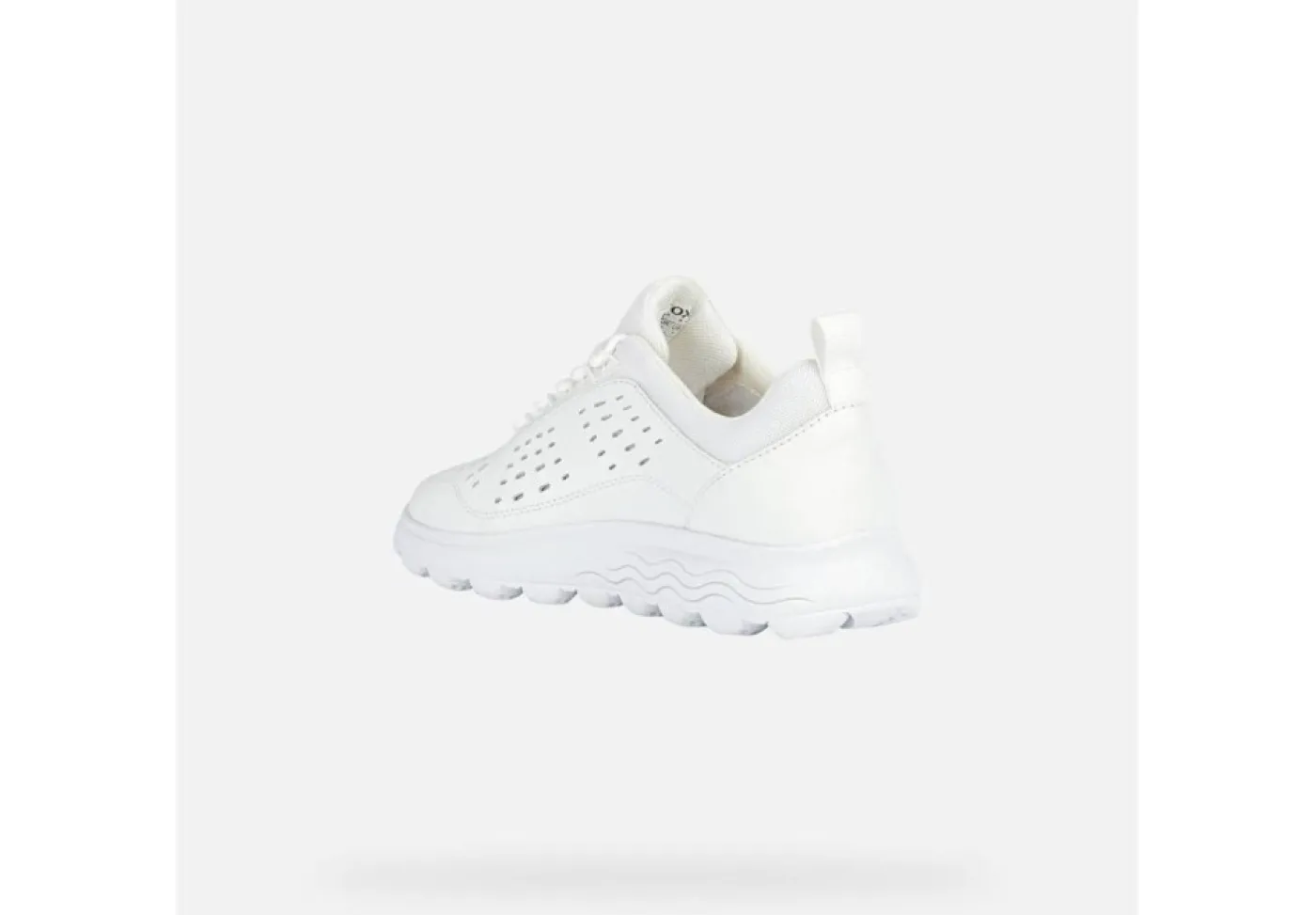Geox Sneakers Basse*Scarpa
