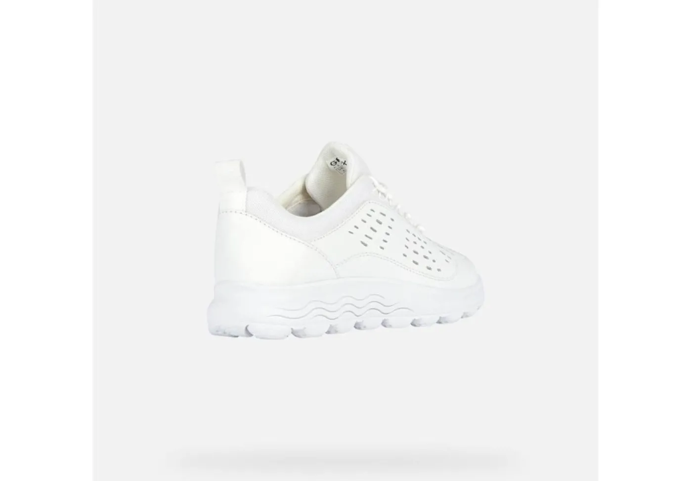 Geox Sneakers Basse*Scarpa