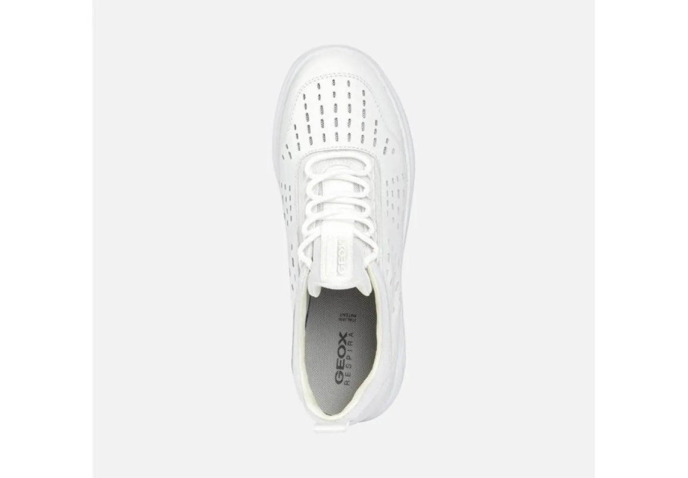 Geox Sneakers Basse*Scarpa